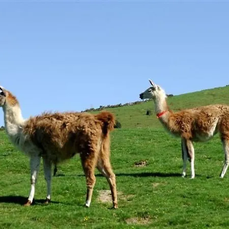 6 Pers, Pied Des Pistes, Balcon, Parking Couvert, Animaux Ok, Grand Tourmalet - Fr-1-404-56 Apartmán La Mongie