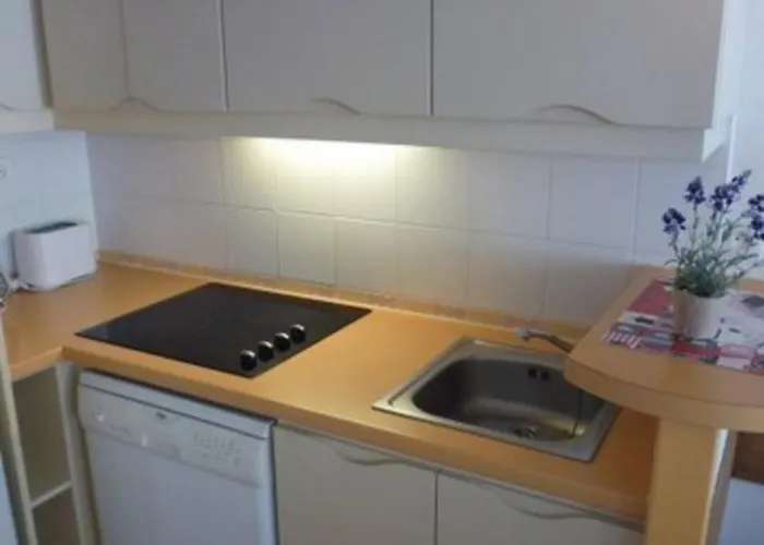 Apartamento 6 Pers, Pied Des Pistes, Balcon, Parking Couvert, Animaux Ok, Grand Tourmalet - Fr-1-404-56 *